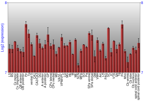 Multi-state expression graph