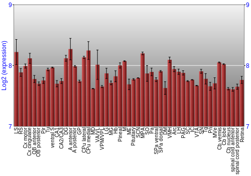 Expression graph