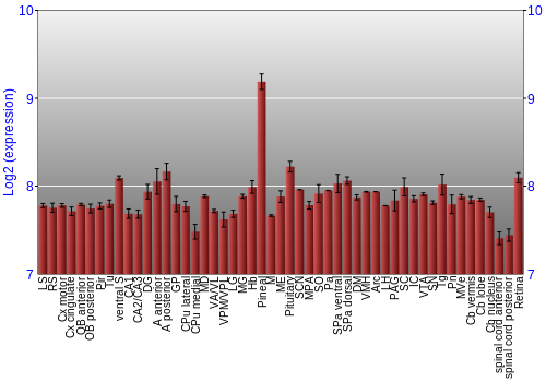 Expression graph