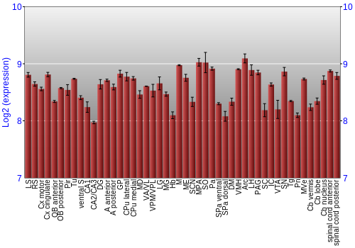 Multi-state expression graph