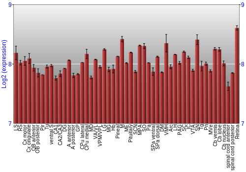 Expression graph