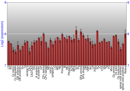 Expression graph