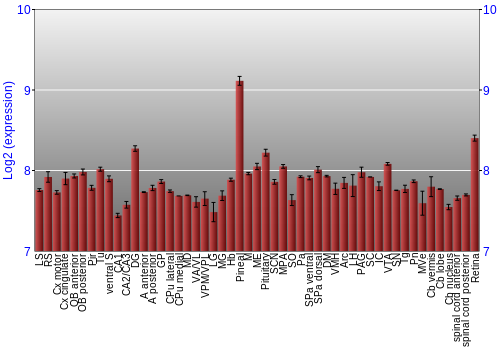 Expression graph