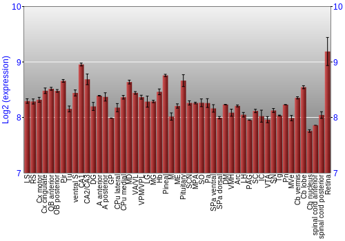 Expression graph