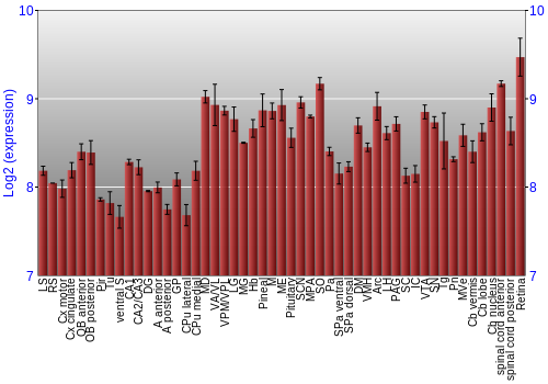 Expression graph