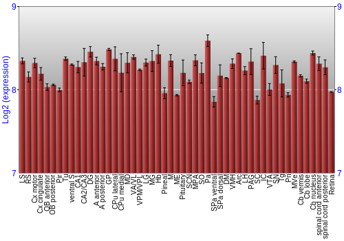 Expression graph