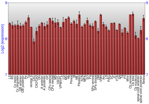 Expression graph