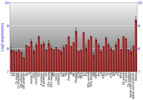 Expression graph