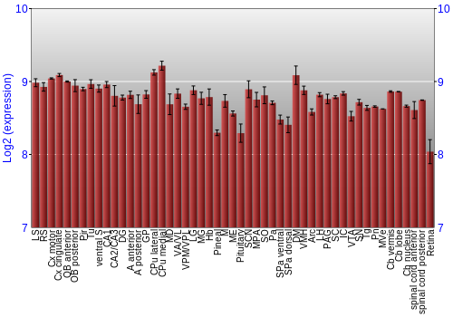 Expression graph