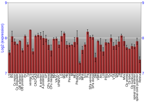 Expression graph