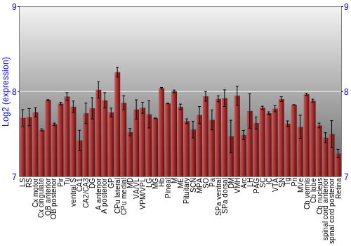 Expression graph