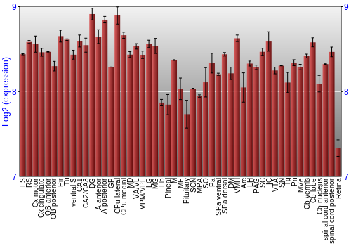 Expression graph