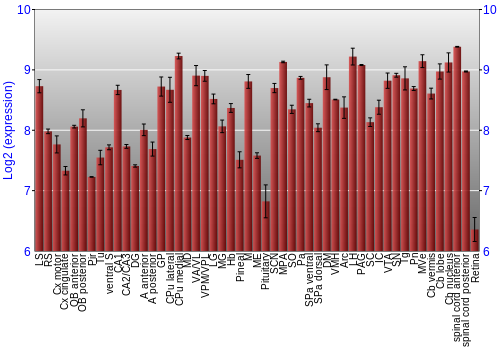 Expression graph