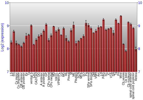 Expression graph