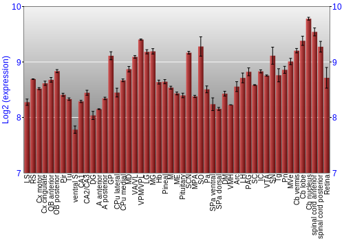 Expression graph