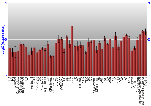 Expression graph