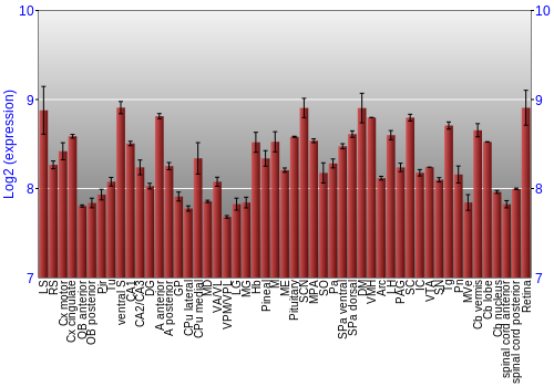 Expression graph