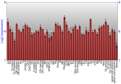 Expression graph