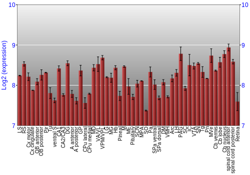 Expression graph