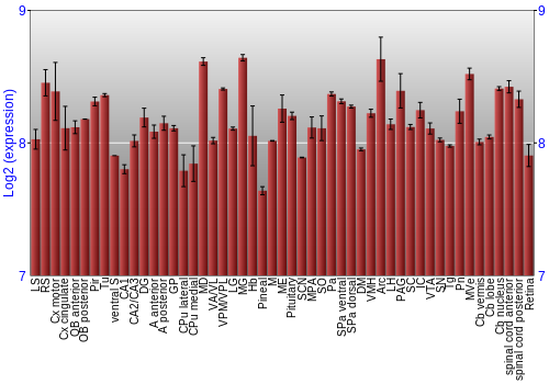 Expression graph
