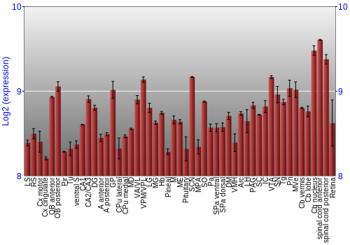 Expression graph