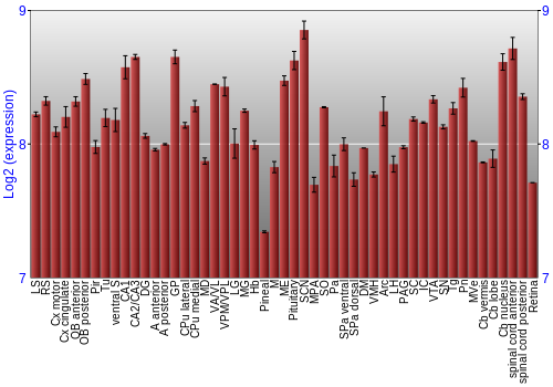 Expression graph