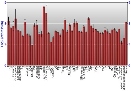 Expression graph