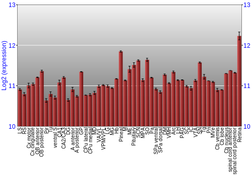 Expression graph
