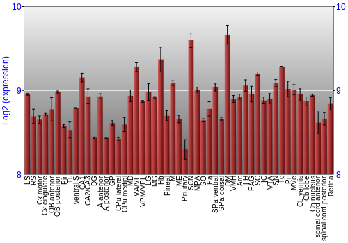 Expression graph