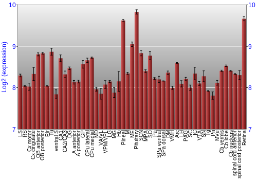Expression graph