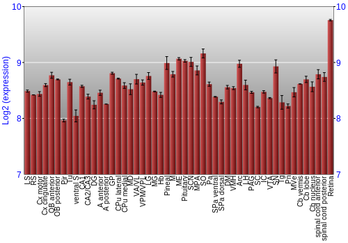 Expression graph