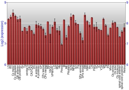 Expression graph