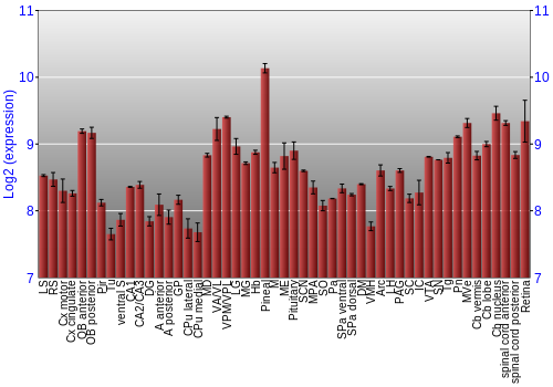Expression graph