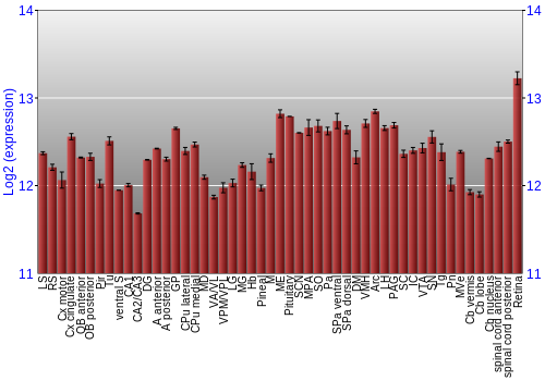 Expression graph