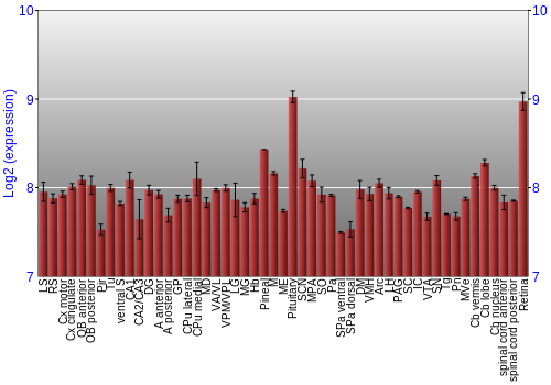 Expression graph