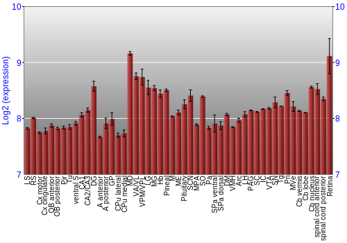 Expression graph