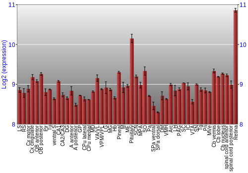 Expression graph
