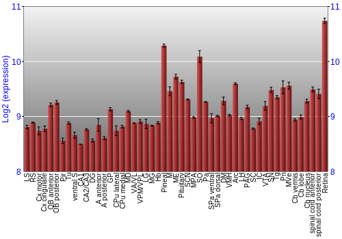 Expression graph
