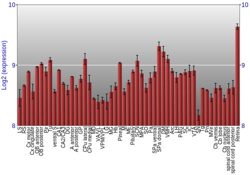 Expression graph