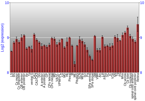 Expression graph