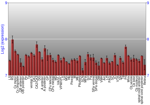 Expression graph
