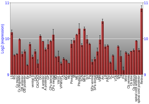 Expression graph