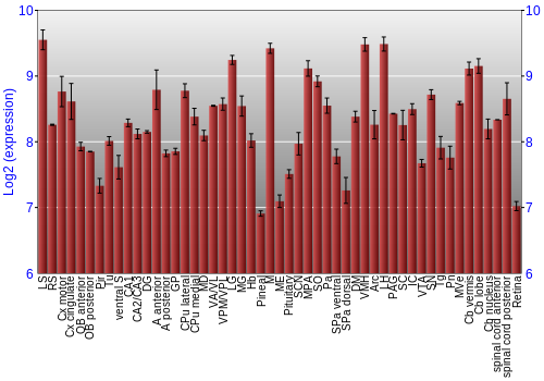 Expression graph
