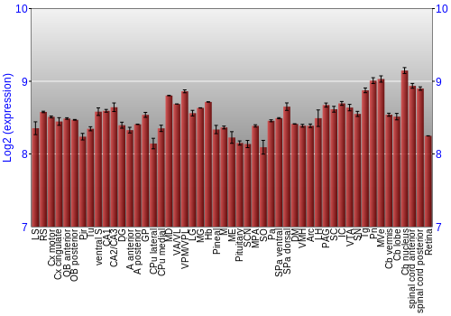 Expression graph