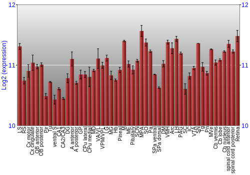 Expression graph