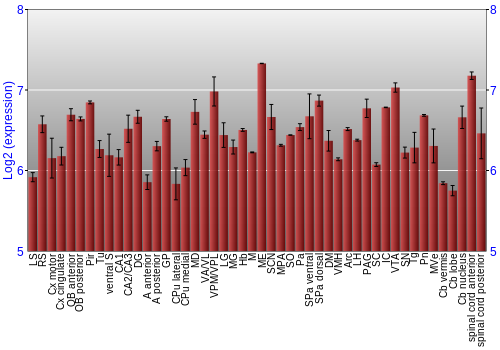 Multi-state expression graph