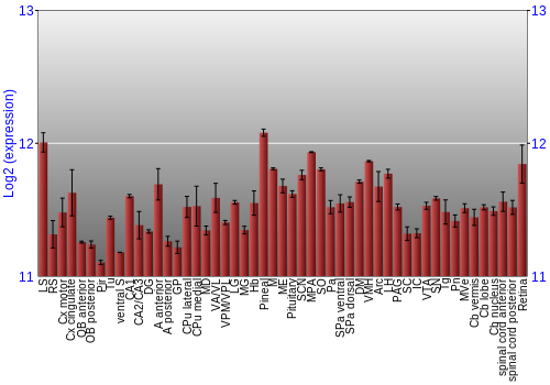 Expression graph