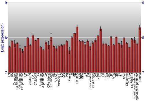 Expression graph