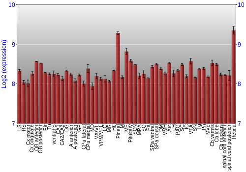 Expression graph
