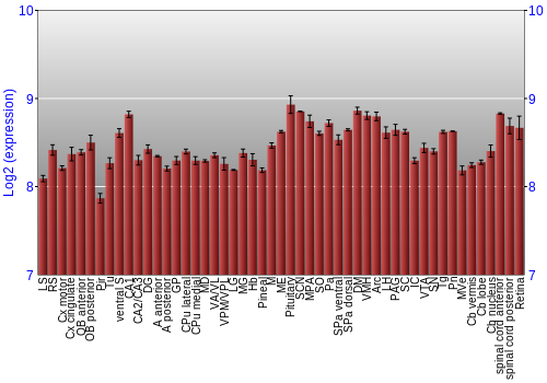 Expression graph